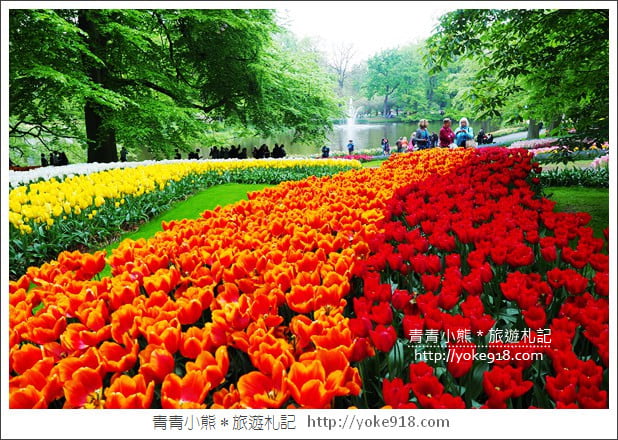 荷蘭庫肯霍夫公園》世界最大的鬱金香花園Keukenhof.隨處皆是明信片場景 @青青小熊*旅遊札記 荷蘭庫肯霍夫公園》世界最大的鬱金香花園Keukenhof.隨處皆是明信片場景 @青青小熊*旅遊札記