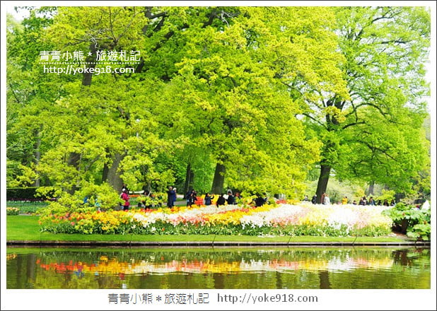 荷蘭庫肯霍夫公園》世界最大的鬱金香花園Keukenhof．隨處皆是明信片場景 @青青小熊＊旅遊札記