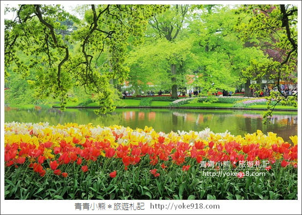 荷蘭庫肯霍夫公園》世界最大的鬱金香花園Keukenhof．隨處皆是明信片場景 @青青小熊＊旅遊札記