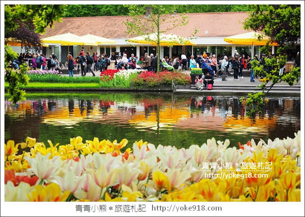 荷蘭庫肯霍夫公園》世界最大的鬱金香花園Keukenhof.隨處皆是明信片場景 @青青小熊*旅遊札記 荷蘭庫肯霍夫公園》世界最大的鬱金香花園Keukenhof.隨處皆是明信片場景 @青青小熊*旅遊札記