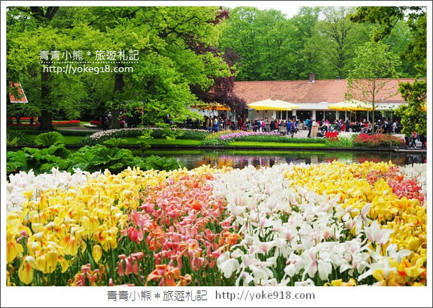 荷蘭庫肯霍夫公園》世界最大的鬱金香花園Keukenhof.隨處皆是明信片場景 @青青小熊*旅遊札記 荷蘭庫肯霍夫公園》世界最大的鬱金香花園Keukenhof.隨處皆是明信片場景 @青青小熊*旅遊札記