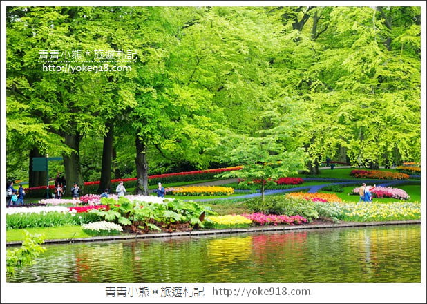 荷蘭庫肯霍夫公園》世界最大的鬱金香花園Keukenhof.隨處皆是明信片場景 @青青小熊*旅遊札記 荷蘭庫肯霍夫公園》世界最大的鬱金香花園Keukenhof.隨處皆是明信片場景 @青青小熊*旅遊札記