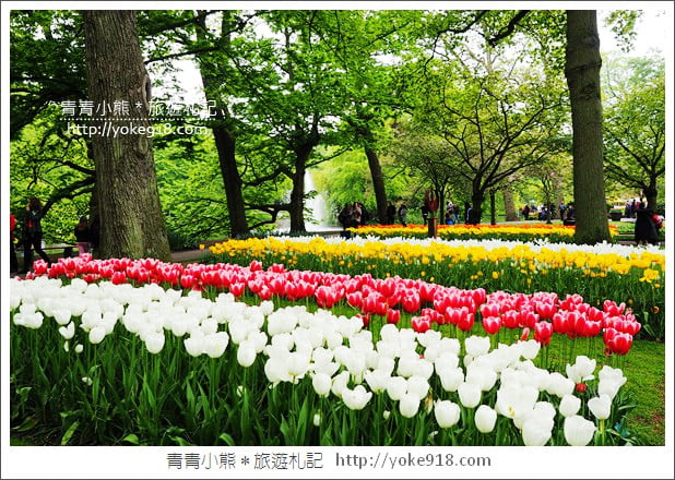 荷蘭庫肯霍夫公園》世界最大的鬱金香花園Keukenhof.隨處皆是明信片場景 @青青小熊*旅遊札記 荷蘭庫肯霍夫公園》世界最大的鬱金香花園Keukenhof.隨處皆是明信片場景 @青青小熊*旅遊札記