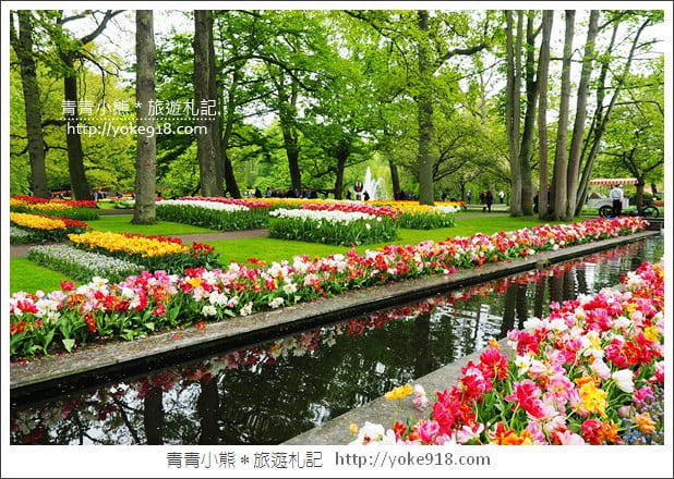 荷蘭庫肯霍夫公園》世界最大的鬱金香花園Keukenhof.隨處皆是明信片場景 @青青小熊*旅遊札記 荷蘭庫肯霍夫公園》世界最大的鬱金香花園Keukenhof.隨處皆是明信片場景 @青青小熊*旅遊札記