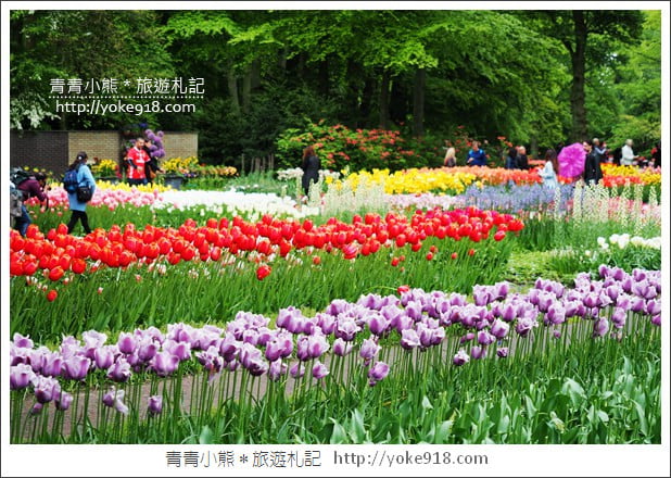 荷蘭庫肯霍夫公園》世界最大的鬱金香花園Keukenhof.隨處皆是明信片場景 @青青小熊*旅遊札記 荷蘭庫肯霍夫公園》世界最大的鬱金香花園Keukenhof.隨處皆是明信片場景 @青青小熊*旅遊札記