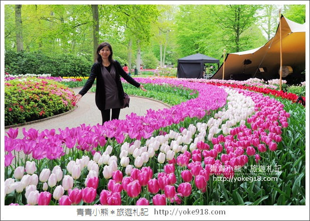 荷蘭庫肯霍夫公園》世界最大的鬱金香花園Keukenhof.隨處皆是明信片場景 @青青小熊*旅遊札記 荷蘭庫肯霍夫公園》世界最大的鬱金香花園Keukenhof.隨處皆是明信片場景 @青青小熊*旅遊札記