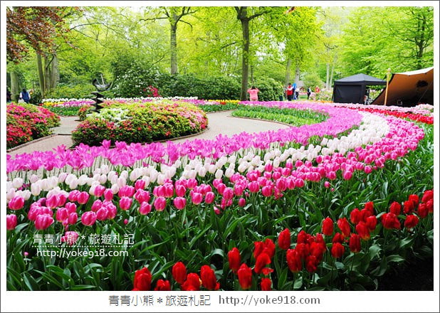 荷蘭庫肯霍夫公園》世界最大的鬱金香花園Keukenhof.隨處皆是明信片場景 @青青小熊*旅遊札記 荷蘭庫肯霍夫公園》世界最大的鬱金香花園Keukenhof.隨處皆是明信片場景 @青青小熊*旅遊札記