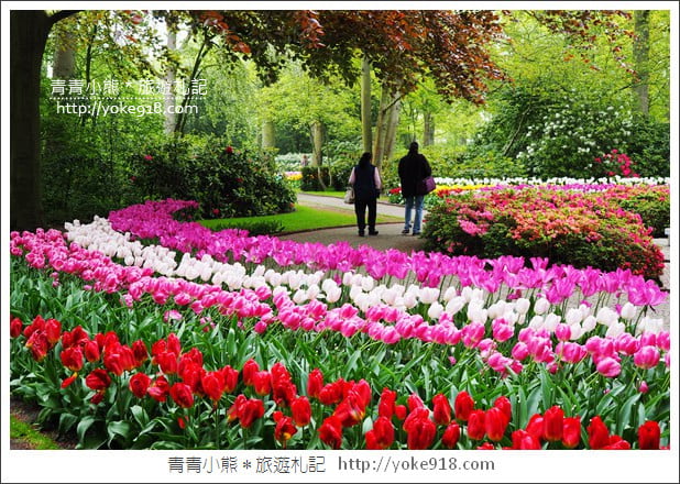 荷蘭庫肯霍夫公園》世界最大的鬱金香花園Keukenhof.隨處皆是明信片場景 @青青小熊*旅遊札記 荷蘭庫肯霍夫公園》世界最大的鬱金香花園Keukenhof.隨處皆是明信片場景 @青青小熊*旅遊札記