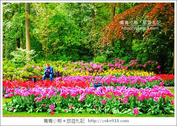 荷蘭庫肯霍夫公園》世界最大的鬱金香花園Keukenhof.隨處皆是明信片場景 @青青小熊*旅遊札記 荷蘭庫肯霍夫公園》世界最大的鬱金香花園Keukenhof.隨處皆是明信片場景 @青青小熊*旅遊札記