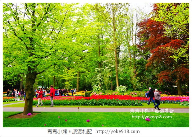 荷蘭庫肯霍夫公園》世界最大的鬱金香花園Keukenhof.隨處皆是明信片場景 @青青小熊*旅遊札記 荷蘭庫肯霍夫公園》世界最大的鬱金香花園Keukenhof.隨處皆是明信片場景 @青青小熊*旅遊札記