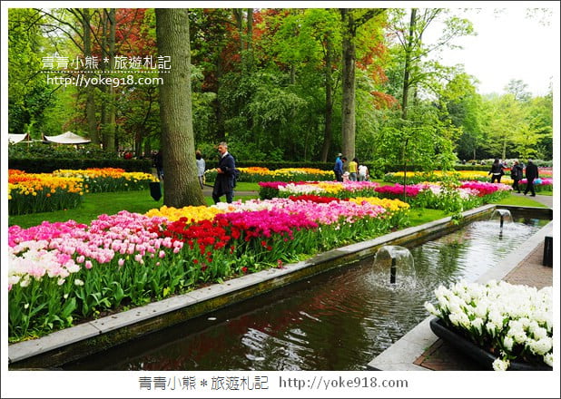 荷蘭庫肯霍夫公園》世界最大的鬱金香花園Keukenhof.隨處皆是明信片場景 @青青小熊*旅遊札記 荷蘭庫肯霍夫公園》世界最大的鬱金香花園Keukenhof.隨處皆是明信片場景 @青青小熊*旅遊札記