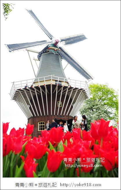 荷蘭庫肯霍夫公園》世界最大的鬱金香花園Keukenhof．隨處皆是明信片場景 @青青小熊＊旅遊札記