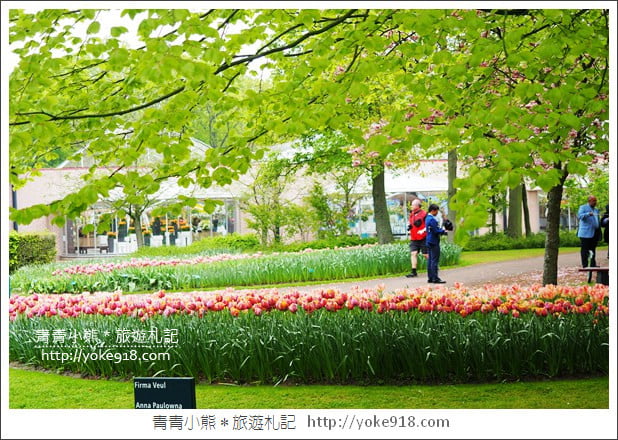 荷蘭庫肯霍夫公園》世界最大的鬱金香花園Keukenhof.隨處皆是明信片場景 @青青小熊*旅遊札記 荷蘭庫肯霍夫公園》世界最大的鬱金香花園Keukenhof.隨處皆是明信片場景 @青青小熊*旅遊札記