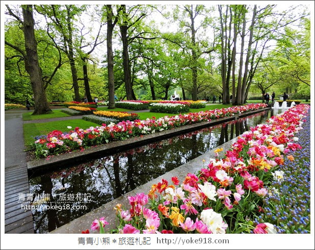 荷蘭庫肯霍夫公園》世界最大的鬱金香花園Keukenhof．隨處皆是明信片場景 @青青小熊＊旅遊札記
