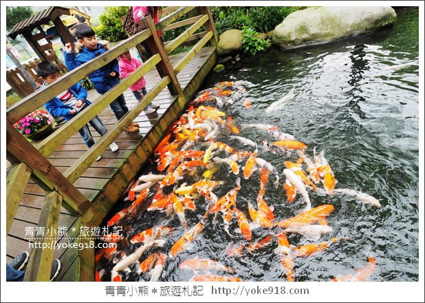桃園龍潭美食》松葉園餐廳.聚餐.合菜.節日聚會餐廳推薦~菜色多樣好吃 @青青小熊*旅遊札記 桃園龍潭美食》松葉園餐廳.聚餐.合菜.節日聚會餐廳推薦~菜色多樣好吃 @青青小熊*旅遊札記