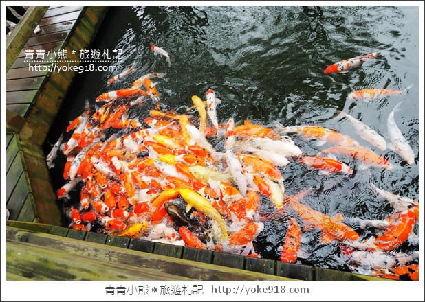 桃園龍潭美食》松葉園餐廳.聚餐.合菜.節日聚會餐廳推薦~菜色多樣好吃 @青青小熊*旅遊札記 桃園龍潭美食》松葉園餐廳.聚餐.合菜.節日聚會餐廳推薦~菜色多樣好吃 @青青小熊*旅遊札記