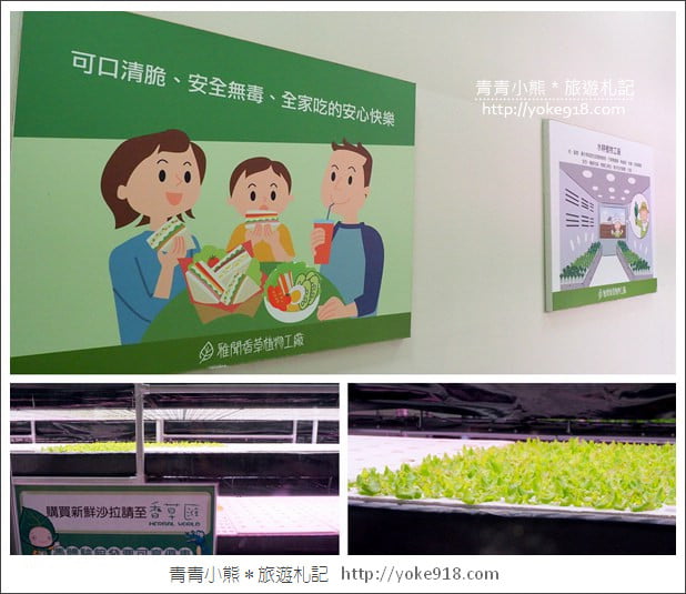 苗栗三義景點》雅聞香草植物工廠.走進凡爾賽玫瑰花園裡~超美必拍香草園 @青青小熊*旅遊札記 苗栗三義景點》雅聞香草植物工廠.走進凡爾賽玫瑰花園裡~超美必拍香草園 @青青小熊*旅遊札記