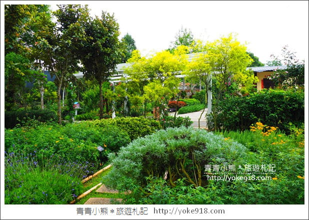 苗栗三義景點》雅聞香草植物工廠.走進凡爾賽玫瑰花園裡~超美必拍香草園 @青青小熊*旅遊札記 苗栗三義景點》雅聞香草植物工廠.走進凡爾賽玫瑰花園裡~超美必拍香草園 @青青小熊*旅遊札記