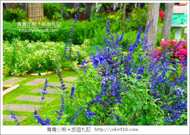 苗栗三義景點》雅聞香草植物工廠.走進凡爾賽玫瑰花園裡~超美必拍香草園 @青青小熊*旅遊札記 苗栗三義景點》雅聞香草植物工廠.走進凡爾賽玫瑰花園裡~超美必拍香草園 @青青小熊*旅遊札記