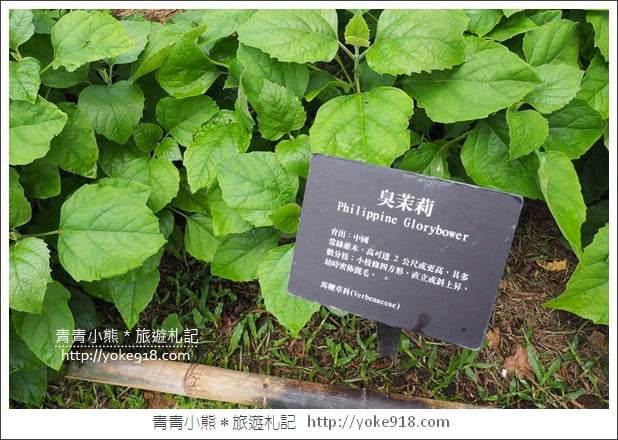 苗栗三義景點》雅聞香草植物工廠.走進凡爾賽玫瑰花園裡~超美必拍香草園 @青青小熊*旅遊札記 苗栗三義景點》雅聞香草植物工廠.走進凡爾賽玫瑰花園裡~超美必拍香草園 @青青小熊*旅遊札記
