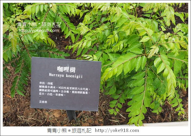 苗栗三義景點》雅聞香草植物工廠.走進凡爾賽玫瑰花園裡~超美必拍香草園 @青青小熊*旅遊札記 苗栗三義景點》雅聞香草植物工廠.走進凡爾賽玫瑰花園裡~超美必拍香草園 @青青小熊*旅遊札記