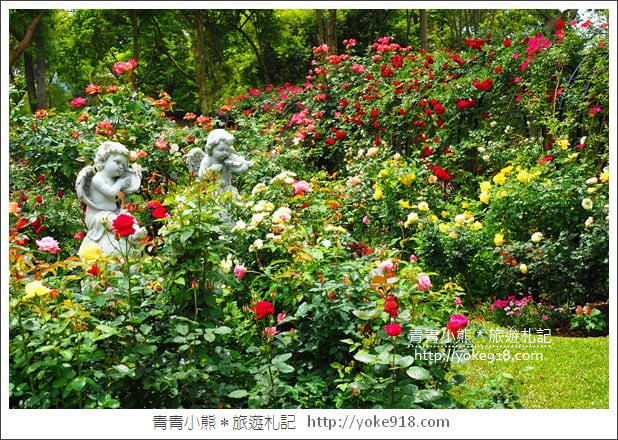 苗栗三義景點》雅聞香草植物工廠.走進凡爾賽玫瑰花園裡~超美必拍香草園 @青青小熊*旅遊札記 苗栗三義景點》雅聞香草植物工廠.走進凡爾賽玫瑰花園裡~超美必拍香草園 @青青小熊*旅遊札記