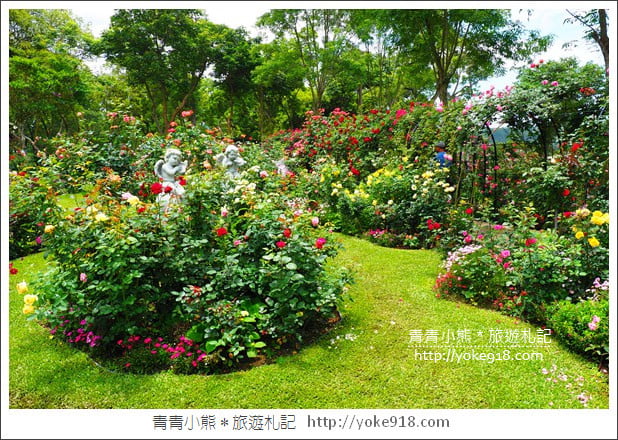 苗栗三義景點》雅聞香草植物工廠.走進凡爾賽玫瑰花園裡~超美必拍香草園 @青青小熊*旅遊札記 苗栗三義景點》雅聞香草植物工廠.走進凡爾賽玫瑰花園裡~超美必拍香草園 @青青小熊*旅遊札記