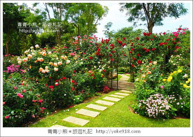 苗栗三義景點》雅聞香草植物工廠.走進凡爾賽玫瑰花園裡~超美必拍香草園 @青青小熊*旅遊札記 苗栗三義景點》雅聞香草植物工廠.走進凡爾賽玫瑰花園裡~超美必拍香草園 @青青小熊*旅遊札記