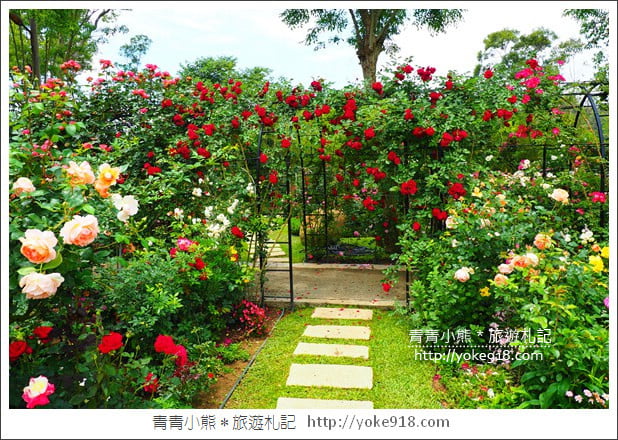 苗栗三義景點》雅聞香草植物工廠.走進凡爾賽玫瑰花園裡~超美必拍香草園 @青青小熊*旅遊札記 苗栗三義景點》雅聞香草植物工廠.走進凡爾賽玫瑰花園裡~超美必拍香草園 @青青小熊*旅遊札記