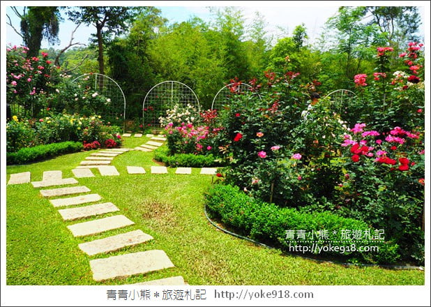 苗栗三義景點》雅聞香草植物工廠.走進凡爾賽玫瑰花園裡~超美必拍香草園 @青青小熊*旅遊札記 苗栗三義景點》雅聞香草植物工廠.走進凡爾賽玫瑰花園裡~超美必拍香草園 @青青小熊*旅遊札記