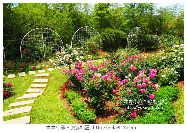 苗栗三義景點》雅聞香草植物工廠.走進凡爾賽玫瑰花園裡~超美必拍香草園 @青青小熊*旅遊札記 苗栗三義景點》雅聞香草植物工廠.走進凡爾賽玫瑰花園裡~超美必拍香草園 @青青小熊*旅遊札記