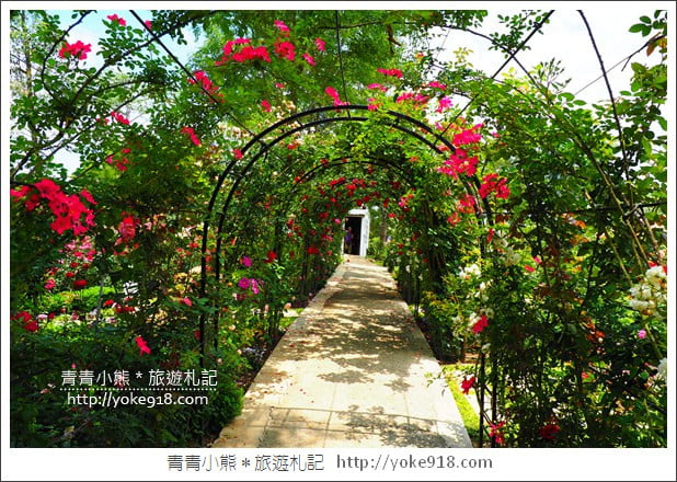 苗栗三義景點》雅聞香草植物工廠.走進凡爾賽玫瑰花園裡~超美必拍香草園 @青青小熊*旅遊札記 苗栗三義景點》雅聞香草植物工廠.走進凡爾賽玫瑰花園裡~超美必拍香草園 @青青小熊*旅遊札記