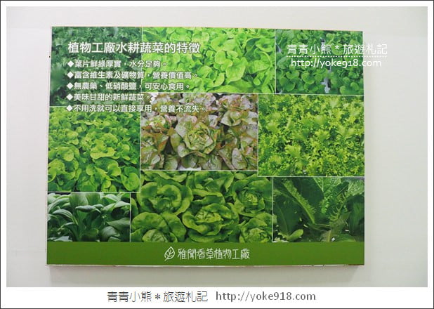 苗栗三義景點》雅聞香草植物工廠.走進凡爾賽玫瑰花園裡~超美必拍香草園 @青青小熊*旅遊札記 苗栗三義景點》雅聞香草植物工廠.走進凡爾賽玫瑰花園裡~超美必拍香草園 @青青小熊*旅遊札記