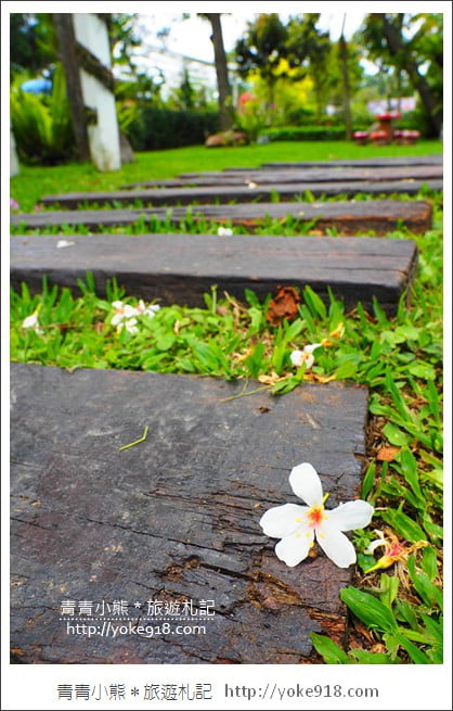 苗栗三義景點》雅聞香草植物工廠.走進凡爾賽玫瑰花園裡~超美必拍香草園 @青青小熊*旅遊札記 苗栗三義景點》雅聞香草植物工廠.走進凡爾賽玫瑰花園裡~超美必拍香草園 @青青小熊*旅遊札記