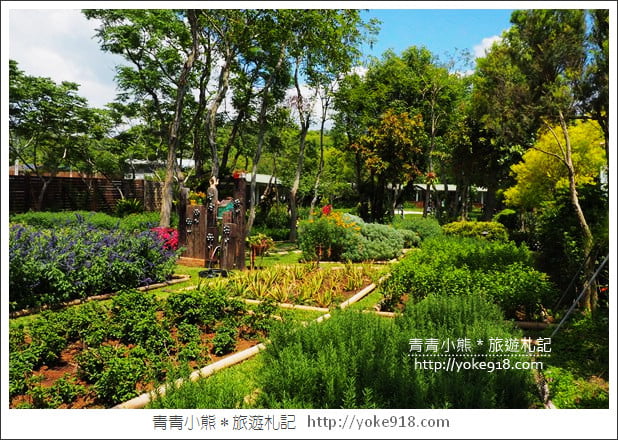 苗栗三義景點》雅聞香草植物工廠.走進凡爾賽玫瑰花園裡~超美必拍香草園 @青青小熊*旅遊札記 苗栗三義景點》雅聞香草植物工廠.走進凡爾賽玫瑰花園裡~超美必拍香草園 @青青小熊*旅遊札記