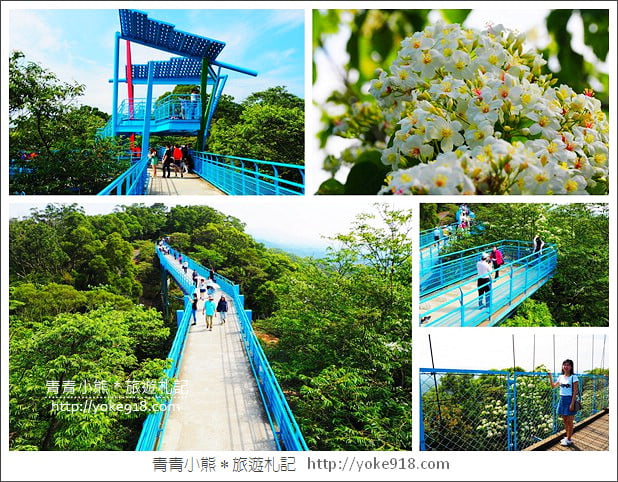 苗栗景點》九華山天空步道&天空之橋．銅鑼最迷人的自行車道賞桐花 @青青小熊＊旅遊札記