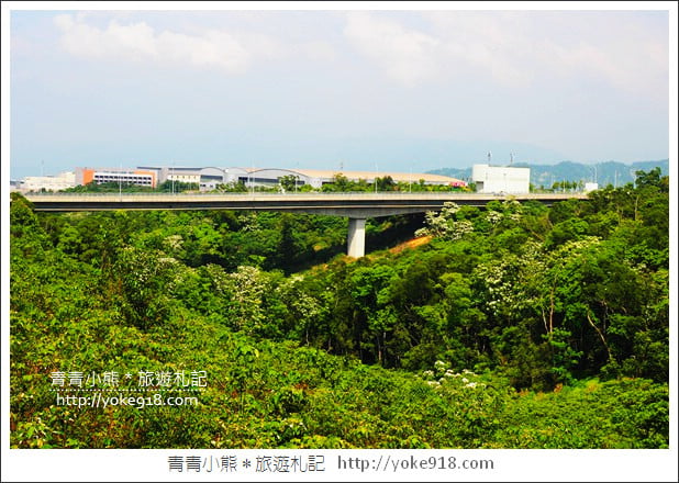 苗栗景點》九華山天空步道&天空之橋．銅鑼最迷人的自行車道賞桐花 @青青小熊＊旅遊札記