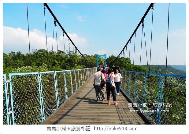 苗栗景點》九華山天空步道&天空之橋．銅鑼最迷人的自行車道賞桐花 @青青小熊＊旅遊札記