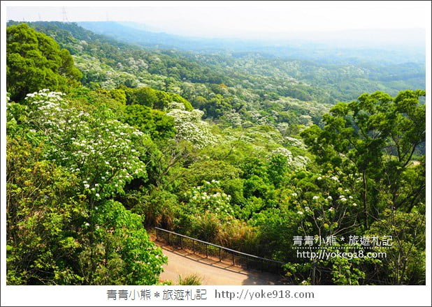 苗栗景點》九華山天空步道&天空之橋．銅鑼最迷人的自行車道賞桐花 @青青小熊＊旅遊札記