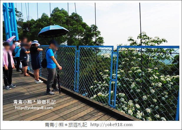 苗栗景點》九華山天空步道&天空之橋．銅鑼最迷人的自行車道賞桐花 @青青小熊＊旅遊札記