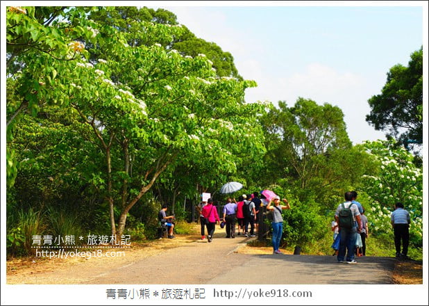 苗栗景點》九華山天空步道&天空之橋．銅鑼最迷人的自行車道賞桐花 @青青小熊＊旅遊札記
