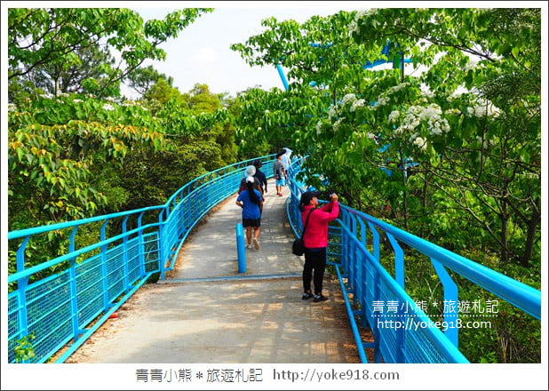 苗栗景點》九華山天空步道&天空之橋．銅鑼最迷人的自行車道賞桐花 @青青小熊＊旅遊札記
