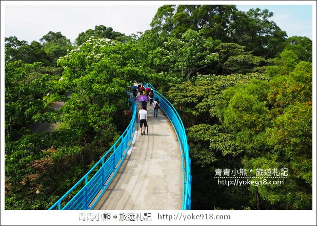 苗栗景點》九華山天空步道&天空之橋．銅鑼最迷人的自行車道賞桐花 @青青小熊＊旅遊札記