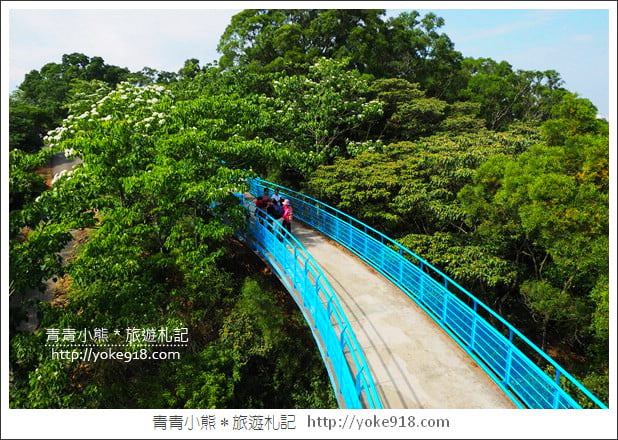 苗栗景點》九華山天空步道&天空之橋．銅鑼最迷人的自行車道賞桐花 @青青小熊＊旅遊札記
