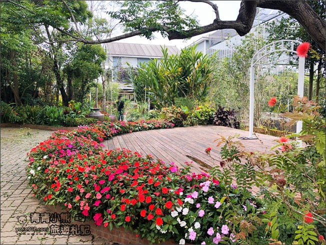 台中景點》新社千樺花園．百花齊開，浪漫花園/玻璃屋~森林系景觀餐廳 @青青小熊＊旅遊札記