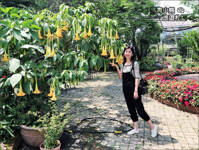 台中景點》新社千樺花園.百花齊開,浪漫花園/玻璃屋~森林系景觀餐廳 @青青小熊*旅遊札記 台中景點》新社千樺花園.百花齊開,浪漫花園/玻璃屋~森林系景觀餐廳 @青青小熊*旅遊札記