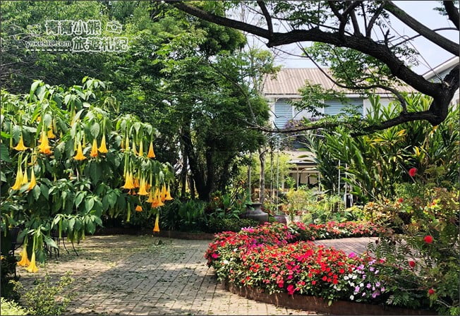 台中景點》新社千樺花園．百花齊開，浪漫花園/玻璃屋~森林系景觀餐廳 @青青小熊＊旅遊札記