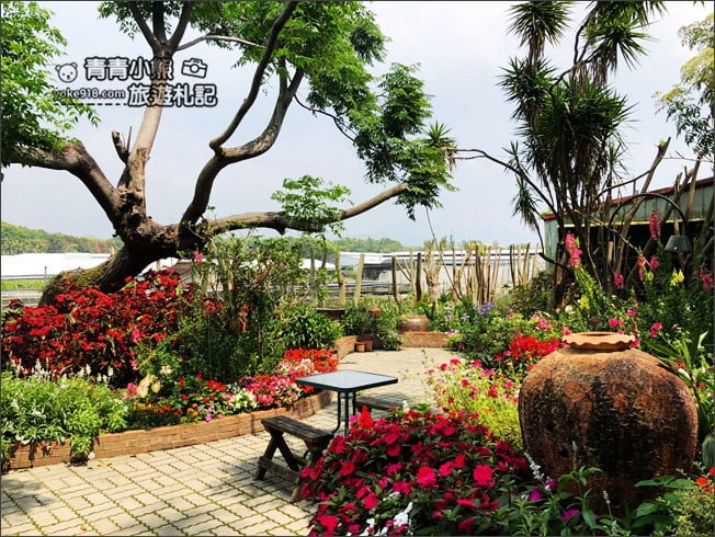 台中景點》新社千樺花園.百花齊開,浪漫花園/玻璃屋~森林系景觀餐廳 @青青小熊*旅遊札記 台中景點》新社千樺花園.百花齊開,浪漫花園/玻璃屋~森林系景觀餐廳 @青青小熊*旅遊札記