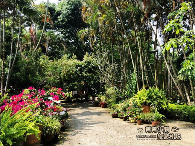台中景點》新社千樺花園．百花齊開，浪漫花園/玻璃屋~森林系景觀餐廳 @青青小熊＊旅遊札記