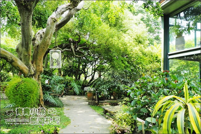 台中景點》新社千樺花園.百花齊開,浪漫花園/玻璃屋~森林系景觀餐廳 @青青小熊*旅遊札記 台中景點》新社千樺花園.百花齊開,浪漫花園/玻璃屋~森林系景觀餐廳 @青青小熊*旅遊札記